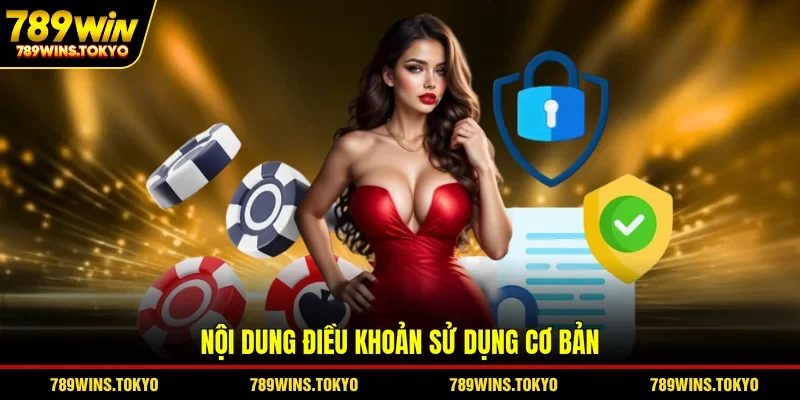 Nội dung điều khoản sử dụng cơ bản